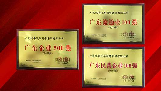 喜讯！大发在线登录官网-大发(中国)上榜广东企业500强等三大榜单(图2)