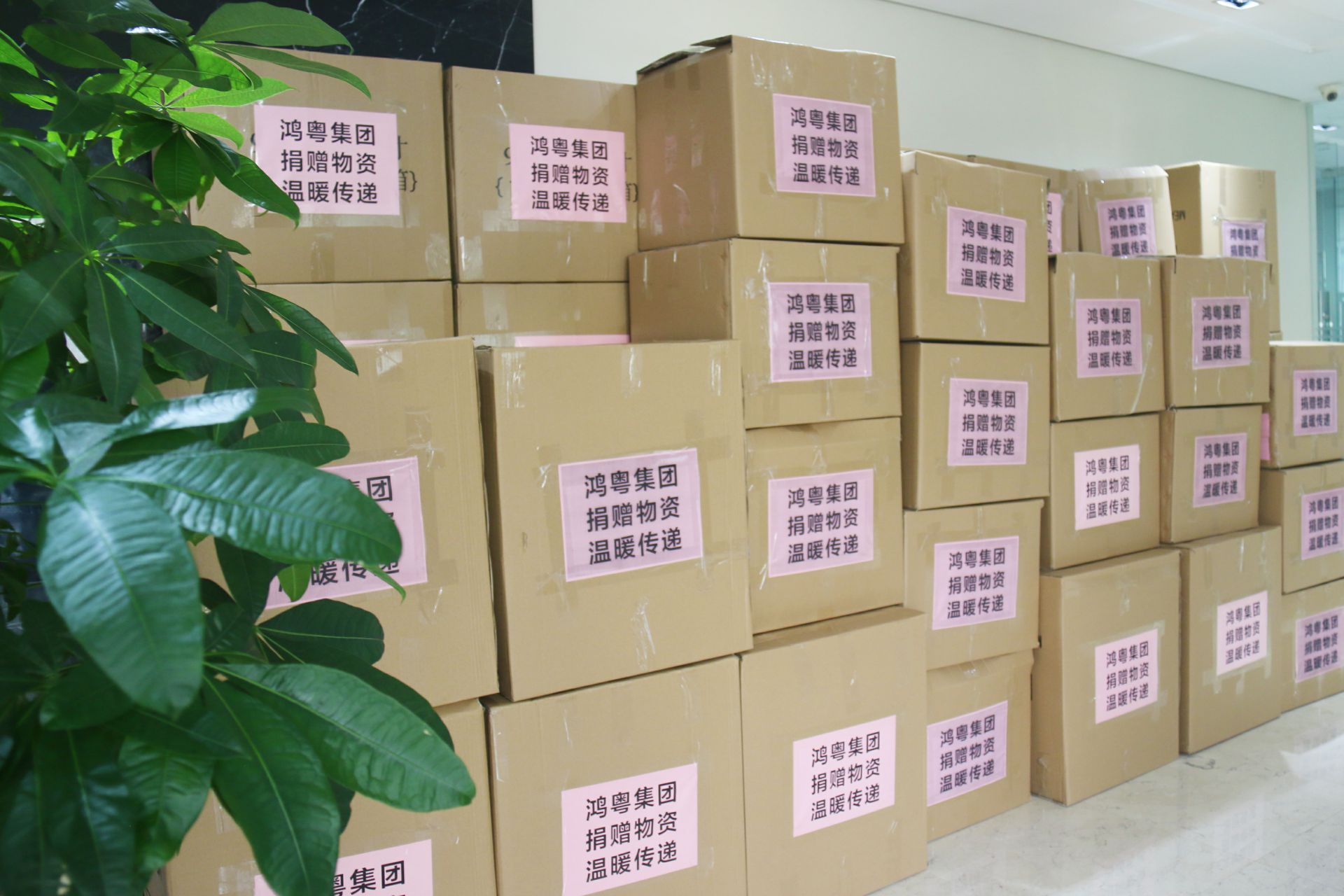 大发在线登录官网-大发(中国)公益回顾丨家国同欢月同圆 温暖满载甘孜州(图1)